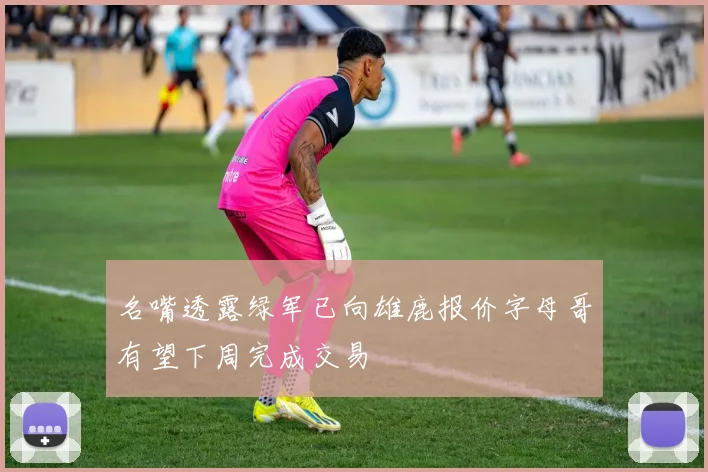 名嘴透露绿军已向雄鹿报价字母哥有望下周完成交易