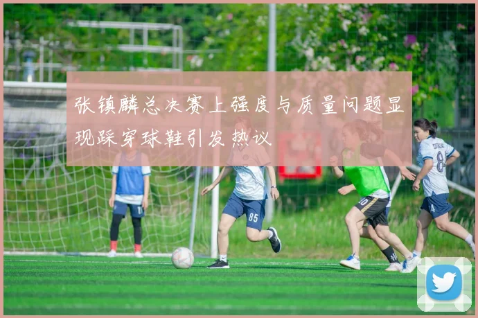 张镇麟总决赛上强度与质量问题显现踩穿球鞋引发热议