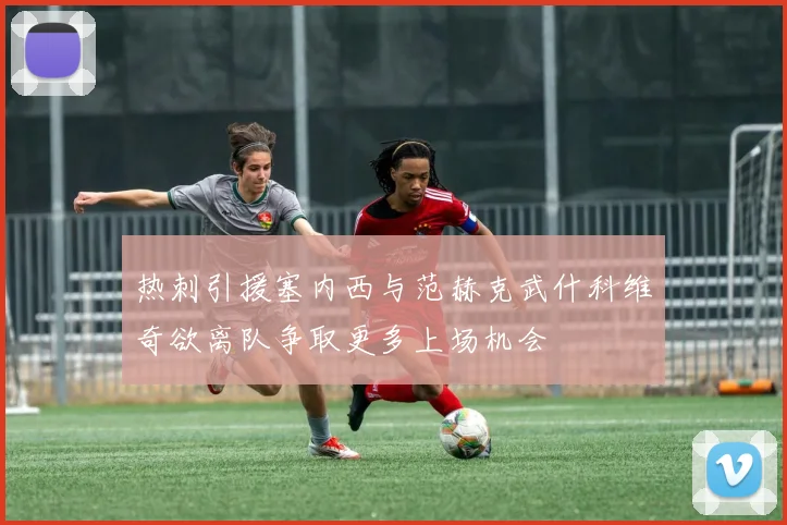 热刺引援塞内西与范赫克武什科维奇欲离队争取更多上场机会
