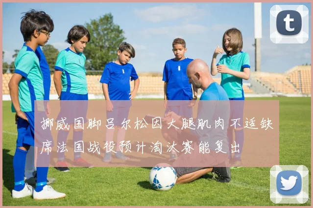 挪威国脚吕尔松因大腿肌肉不适缺席法国战役预计淘汰赛能复出
